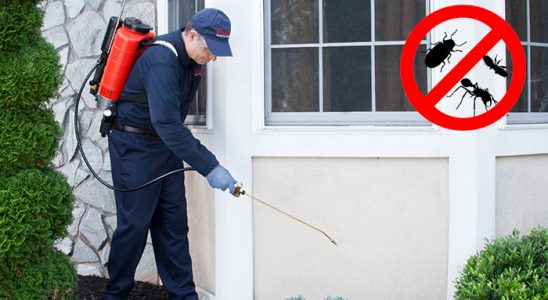 Çekerek Akrep İlaçlama böcek ilaçlama ve haşere kontrolü — ilaclama-tr.com